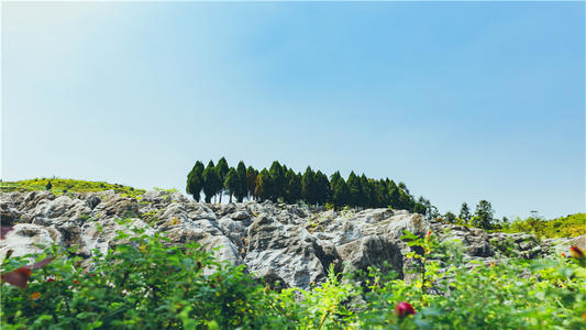 芜湖景点：丫山花海石林